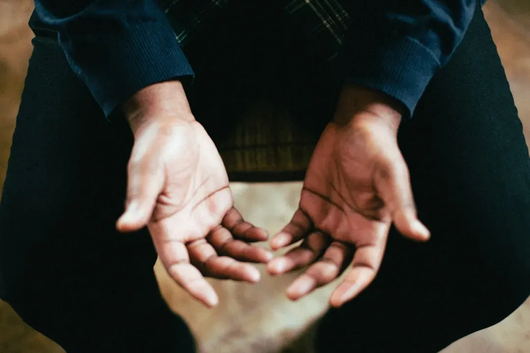 The hands and knees plea that saved it (Image Credits: Unsplash)