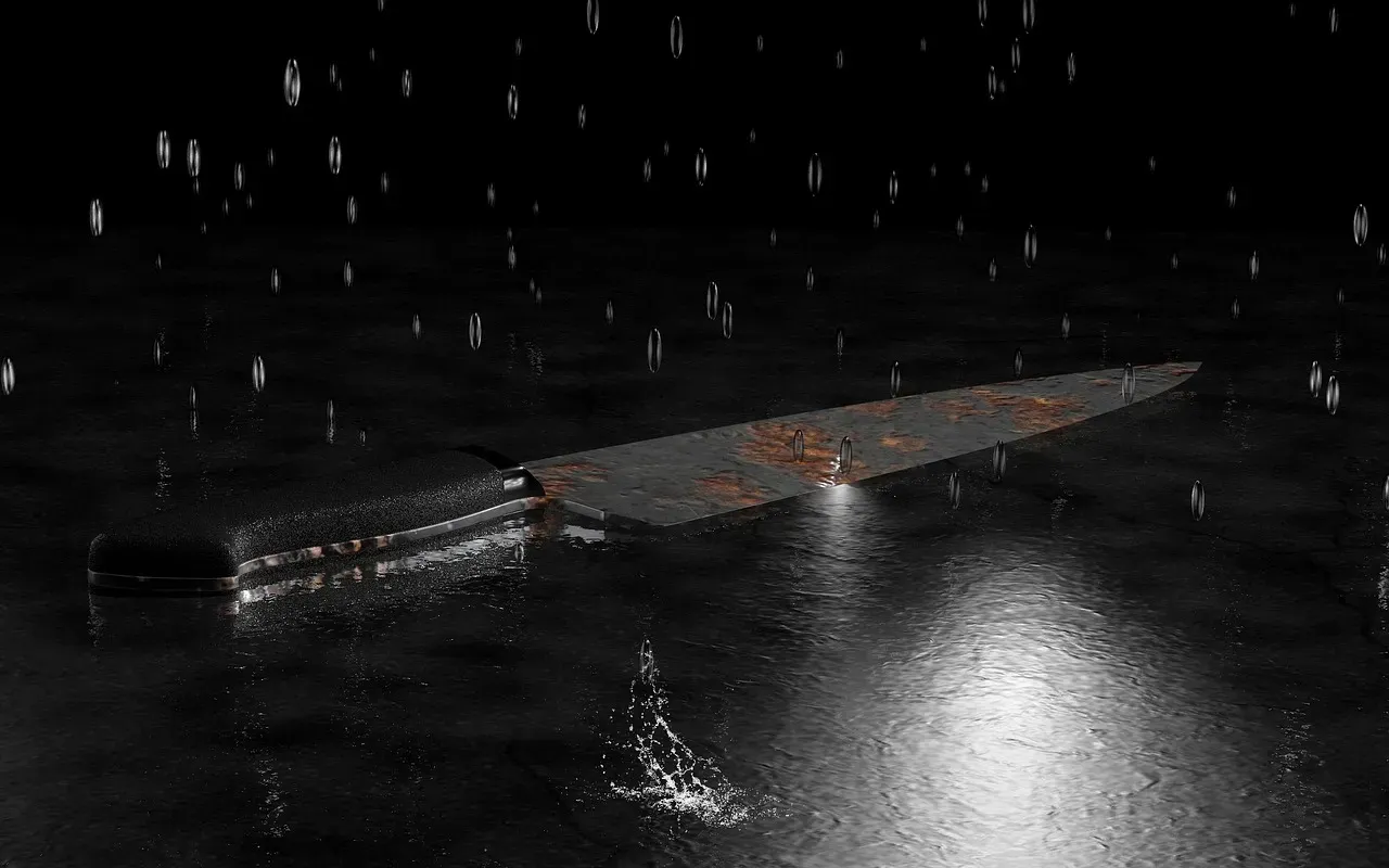 1. One Night in Idaho: The College Murders (2025) (Image Credits: Pixabay)