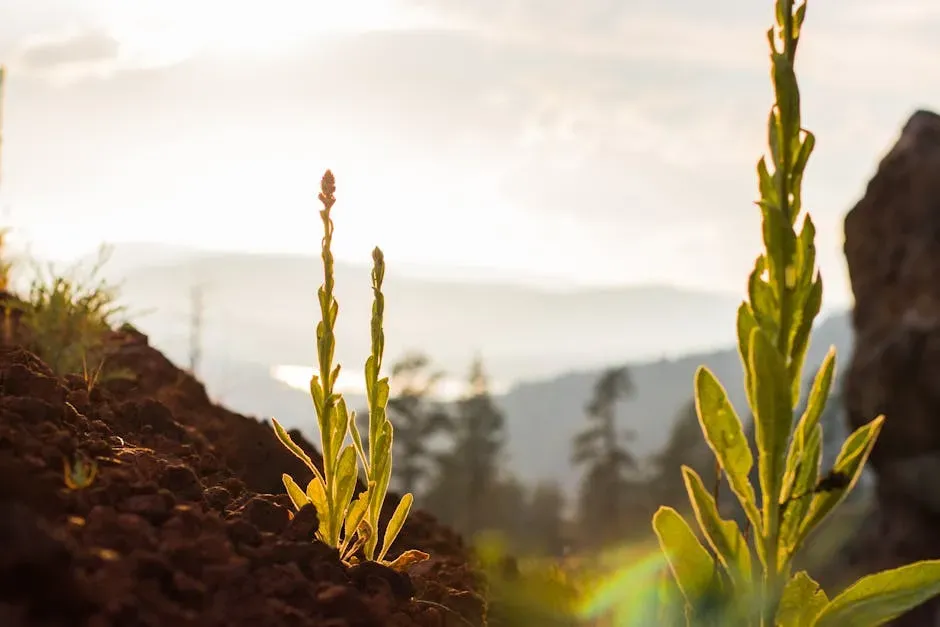What This Means for Nevada's Economy (Image Credits: Pexels)