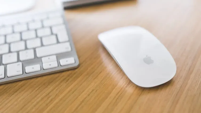 Steve Jobs's Mouse, Lost Underground for Decades (Image Credits: Pexels)