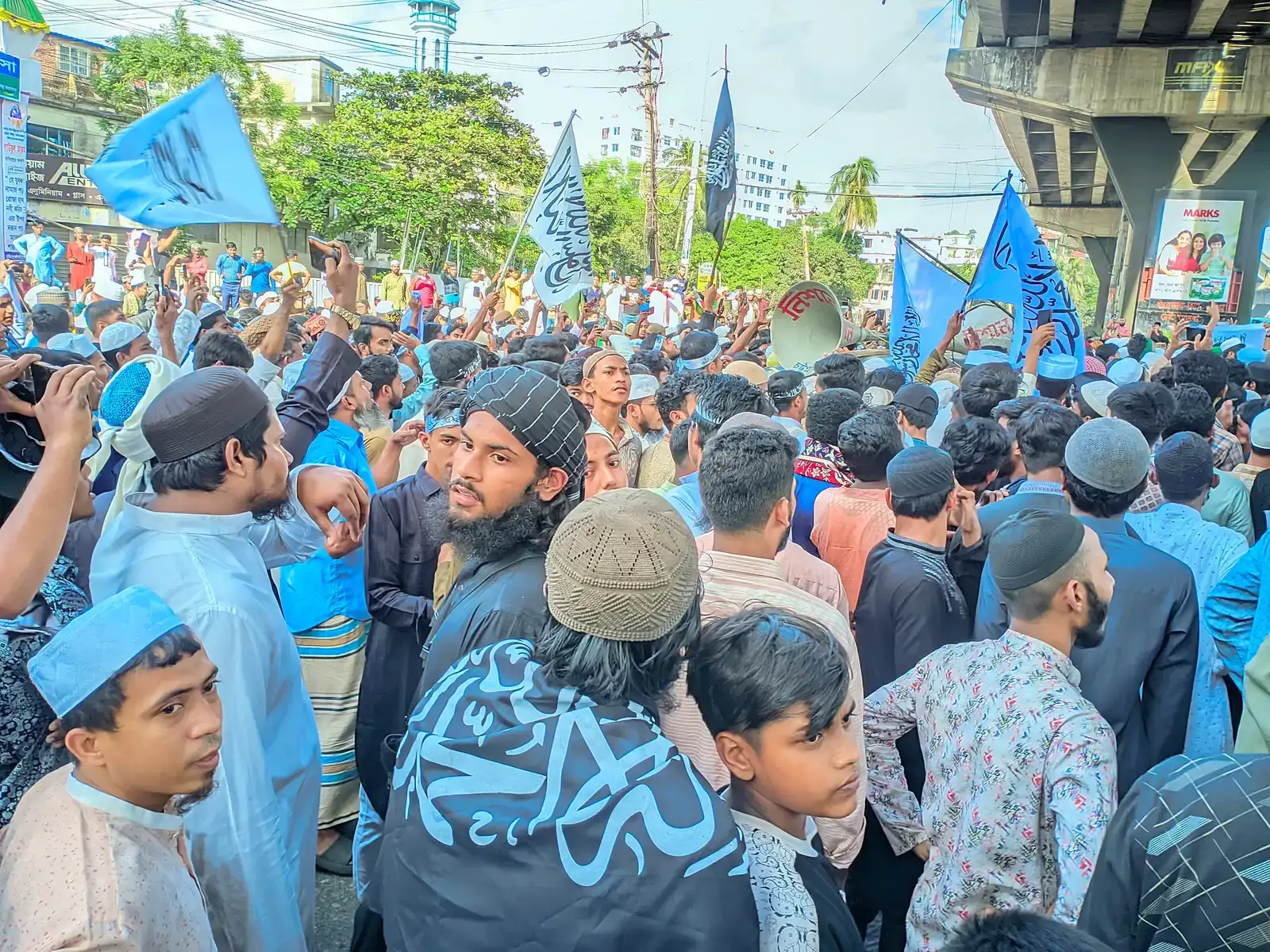 Legal Battles as Activism Tools (Image Credits: Wikimedia)