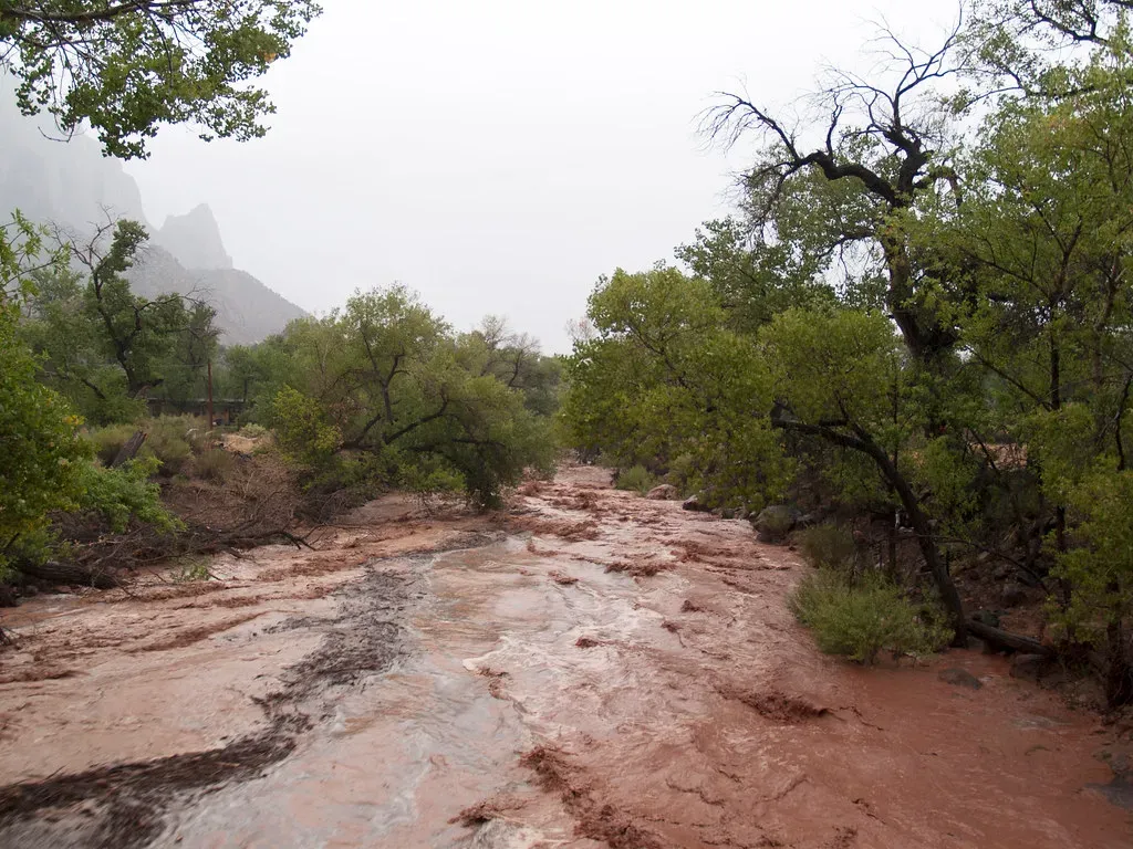 How Little Rain It Actually Takes (ZionNPS, Flickr, CC BY 2.0)