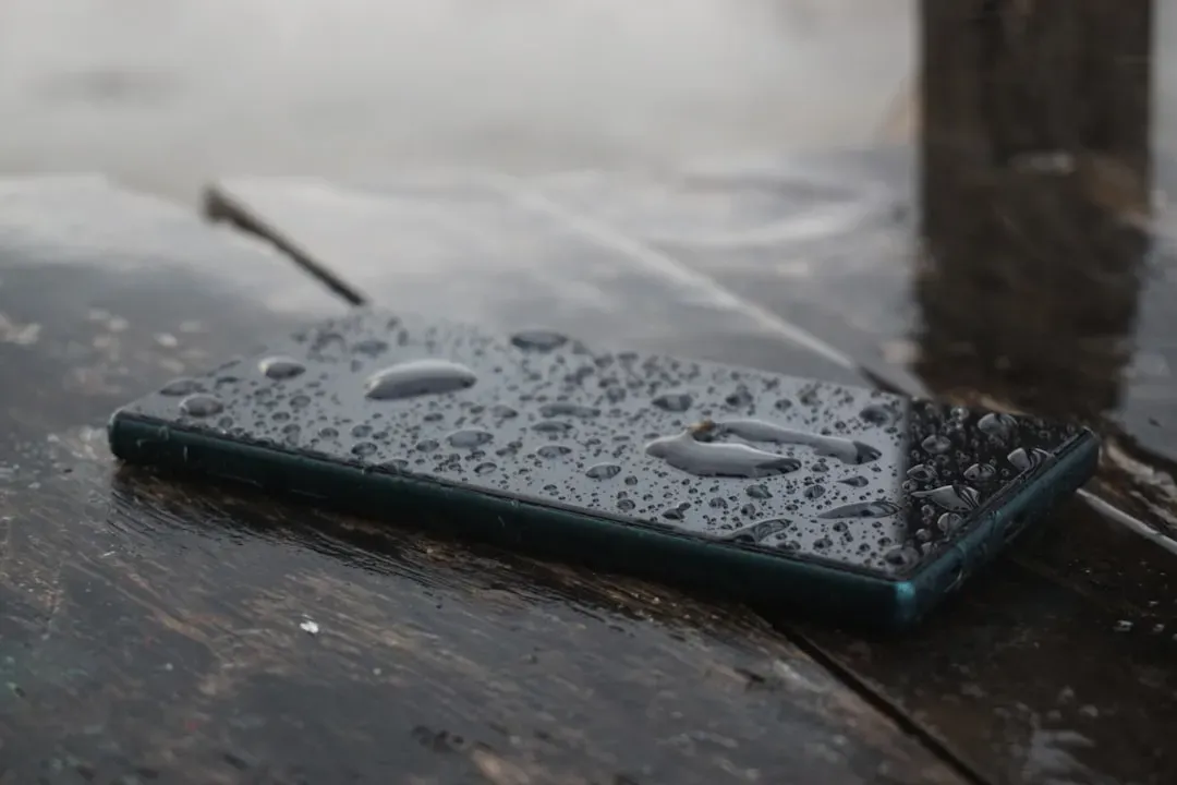 12. Putting a Wet Phone in Rice Will Save It (Image Credits: Unsplash)