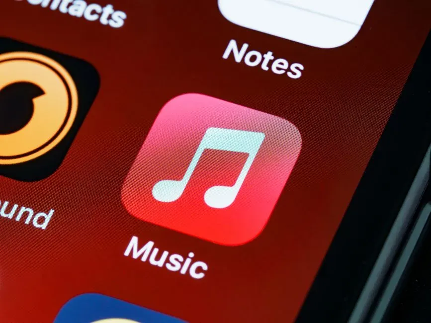 Individual Song Downloads (Image Credits: Pexels)