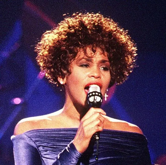 The Bodyguard (1992) (By PH2 Mark Kettenhofen, Public domain)