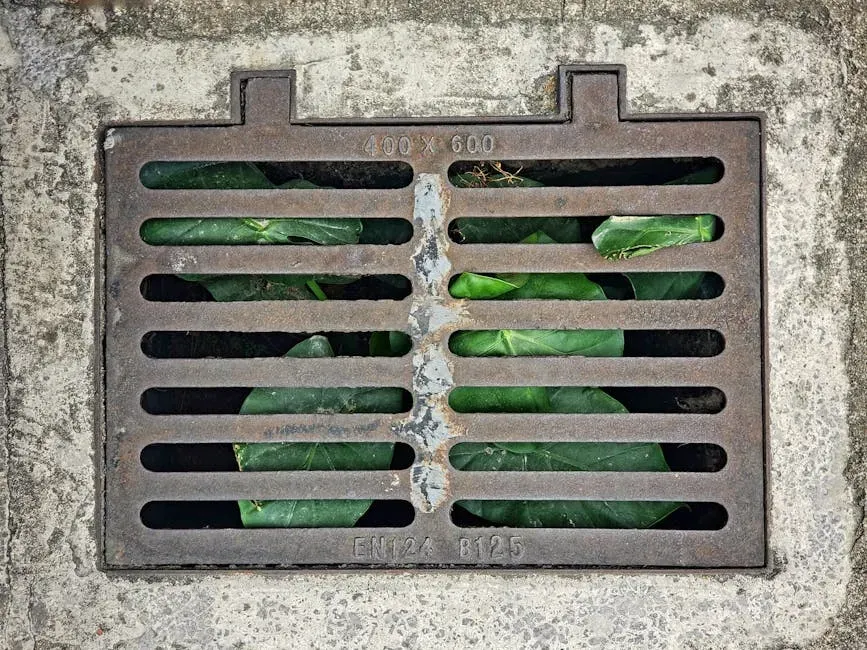 Install Proper Drainage Systems Around Your Home (Image Credits: Pexels)