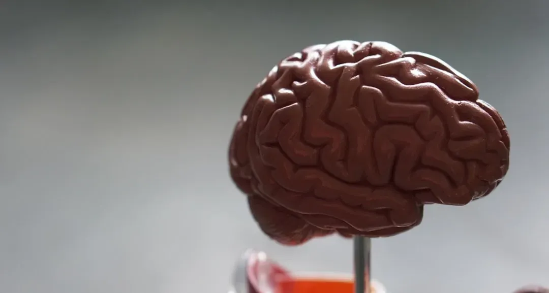 3. Black Mirror's memory implants foreshadowed brain-computer interfaces (Image Credits: Unsplash)