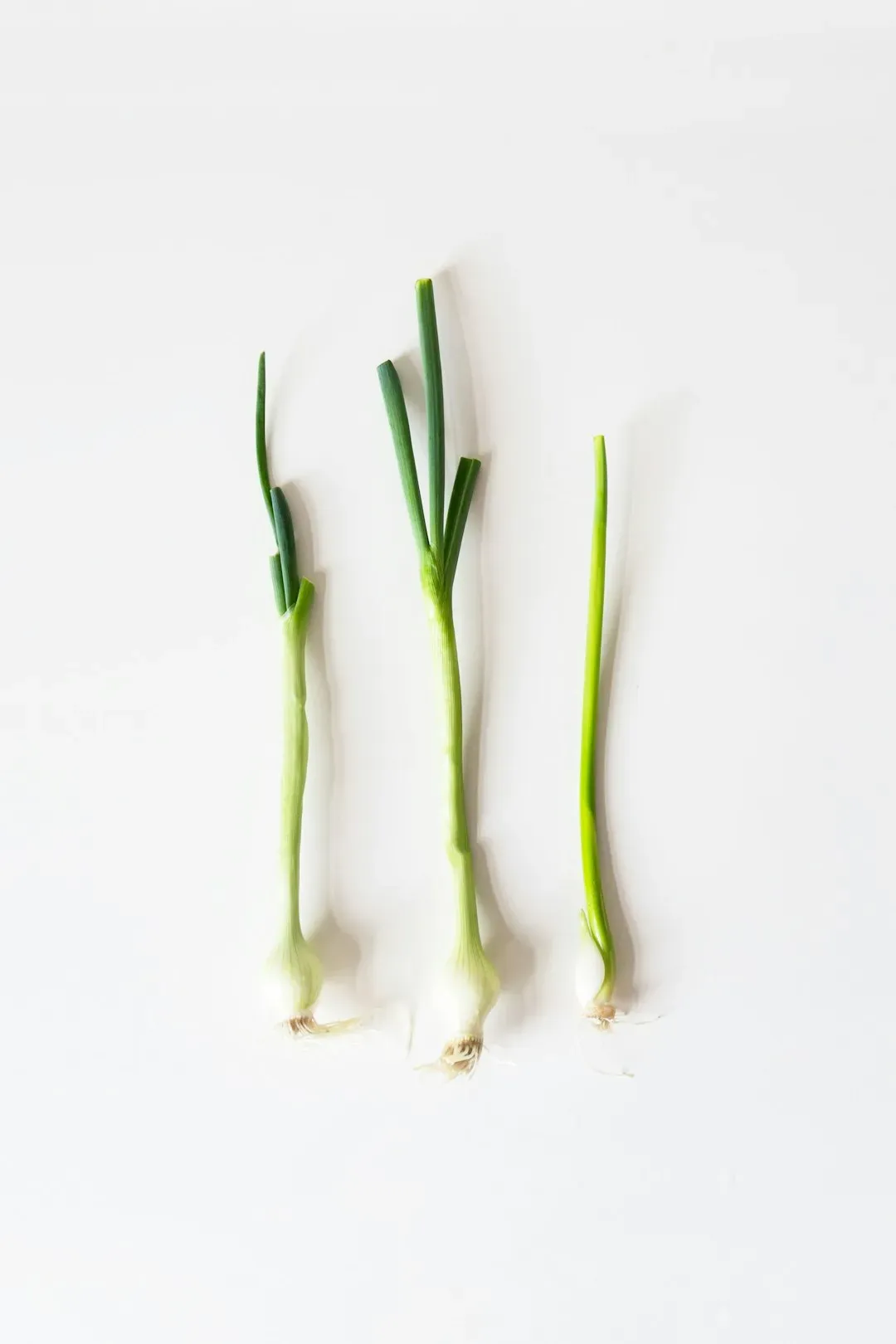 5. "Green Onions" by Booker T. & the M.G.'s stabilized Stax Records (Image Credits: Unsplash)