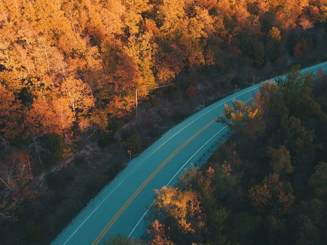 The Drive Itself Is Part of the Experience (Image Credits: Unsplash)