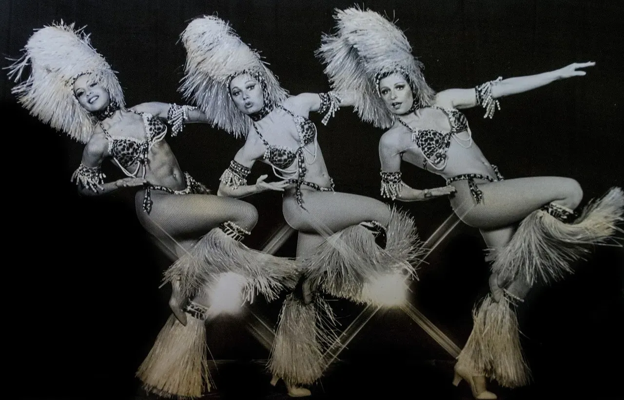 Showgirls (1995) - Big Budget, Bigger Disaster (Image Credits: Pixabay)