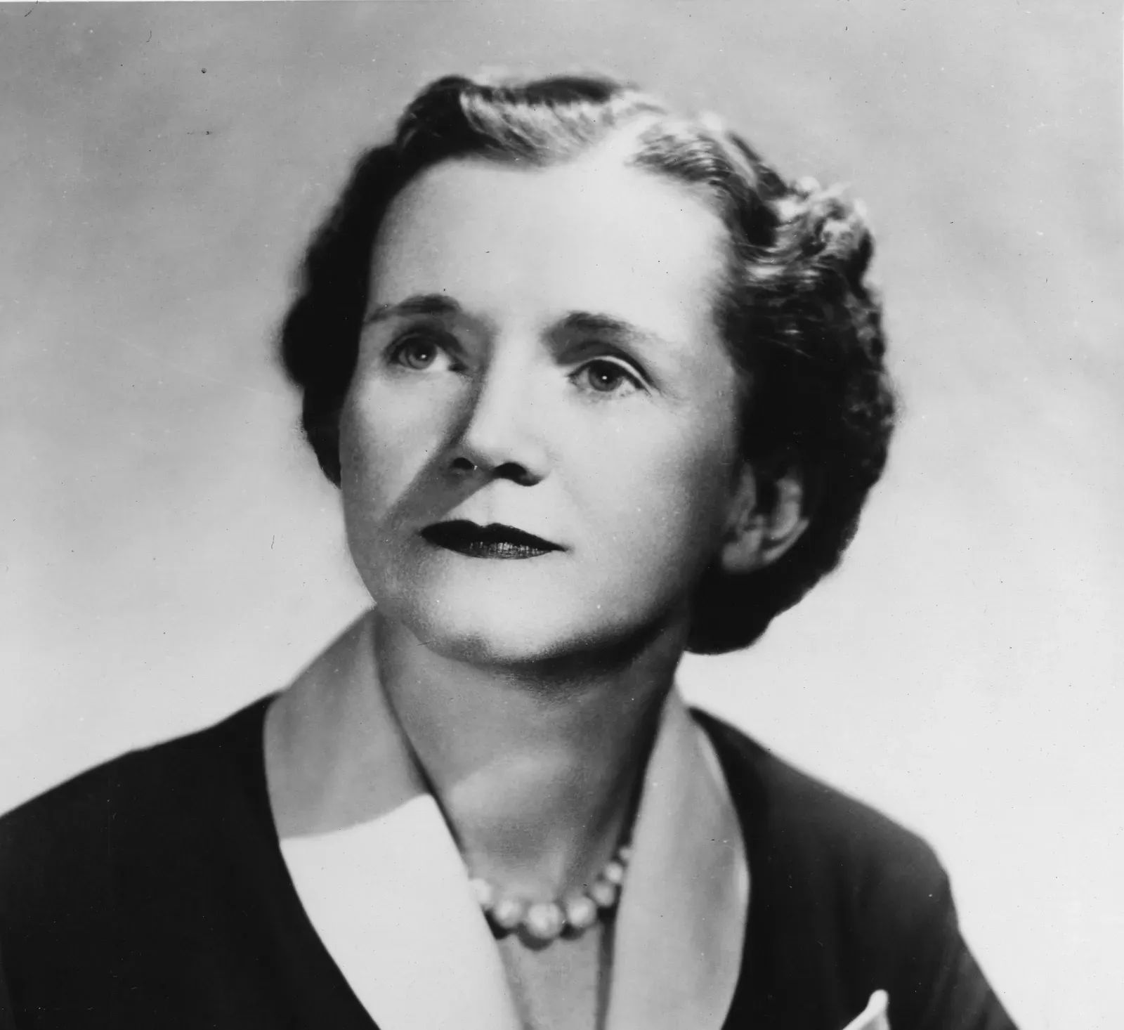 7. Silent Spring by Rachel Carson (1962) (Image Credits: Wikimedia)