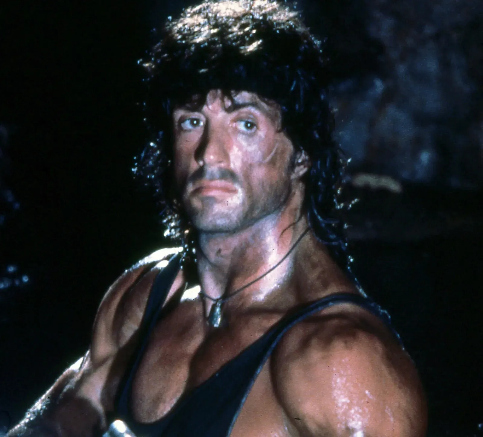 First Blood (1982): Rambo Was Supposed to Die (Image Credits: Wikimedia)