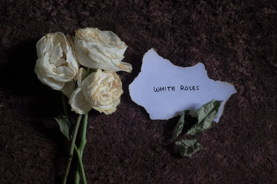 7. The White Rose Network: Hans Scholl and Fellow Students (Image Credits: Unsplash)
