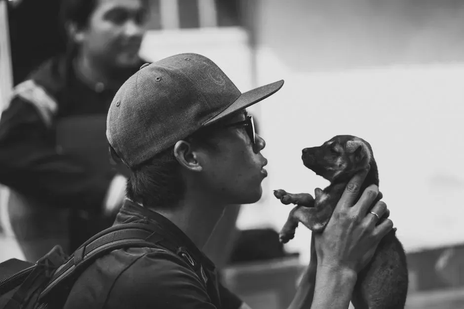 Why This Gaze Likely Evolved Between Dogs and Humans (Image Credits: Pexels)