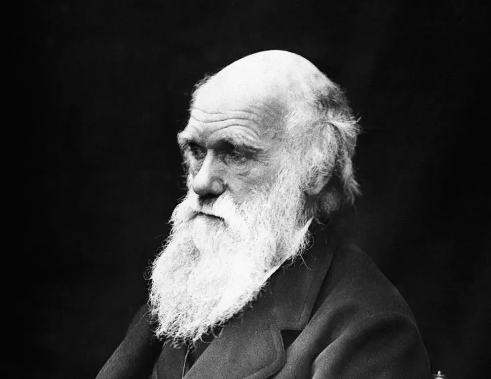 9. Charles Darwin - The Naturalist Who Waited 20 Years to Tell the World (Image Credits: Pixabay)