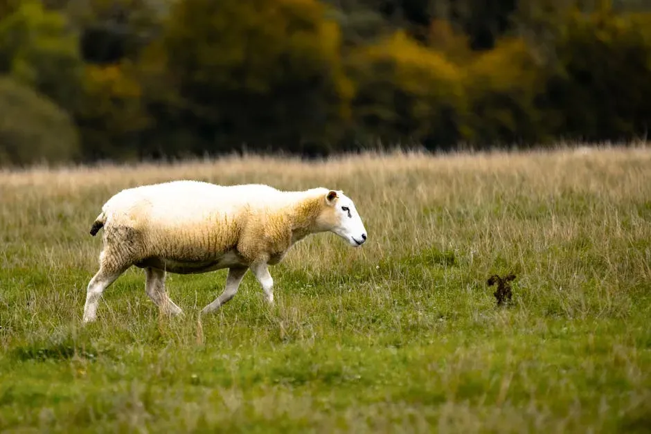 7. Cold Comfort Farm by Stella Gibbons (Image Credits: Pexels)