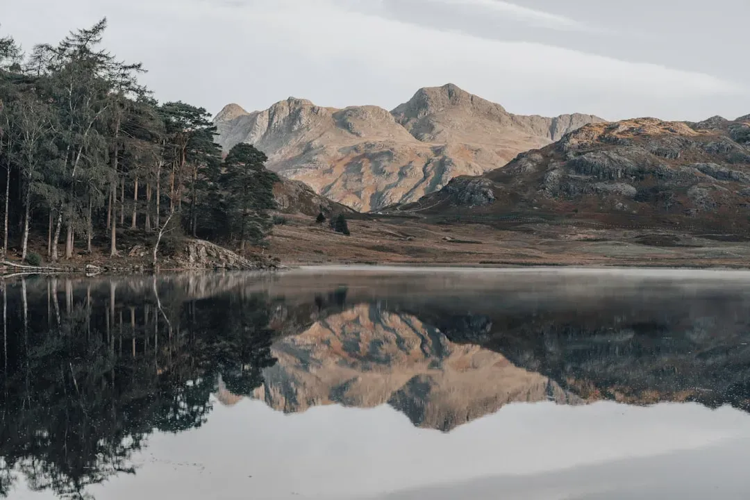 Who Actually Lives There: The Demographics (Image Credits: Unsplash)