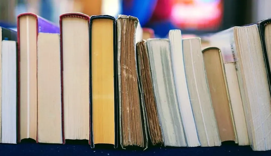 Shuggie Bain and the Booker Prize Against the Odds (Image Credits: Unsplash)