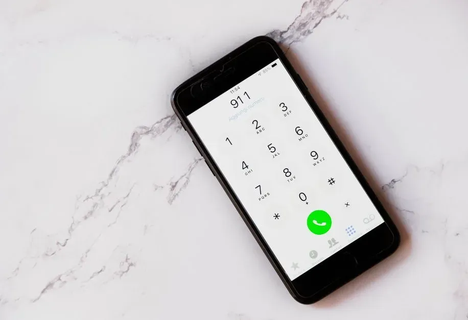A Disturbing 911 Call and the Arrest (Image Credits: Pexels)