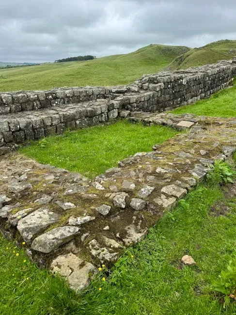 Vindolanda, Near Hadrian's Wall: Insults Carved in Stone (Image Credits: Pexels)