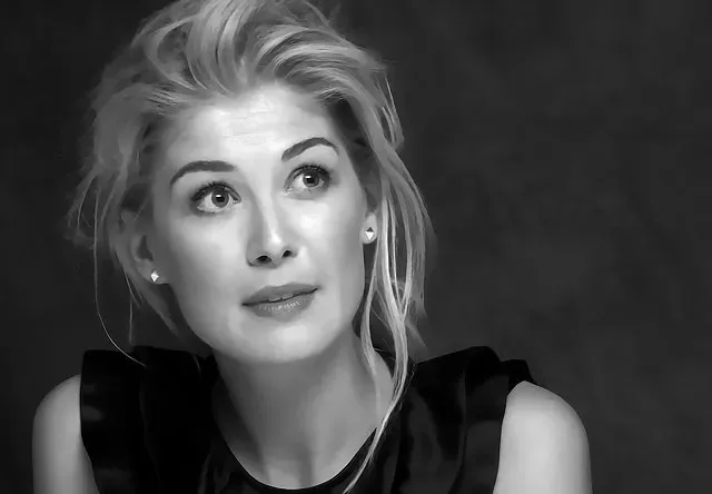 The Emotional Gut Punch: "Gone Girl" (2014) (theglobalpanorama, Flickr, CC BY-SA 2.0)