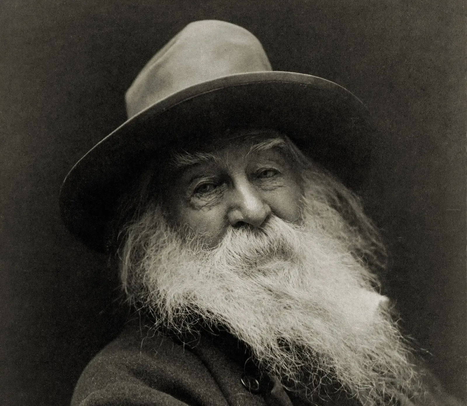 9. Leaves of Grass by Walt Whitman - The Invisible Dedication "To You" (Image Credits: Wikimedia)