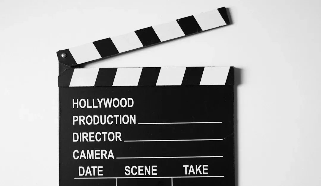 Sections Within the Official Selection (Image Credits: Unsplash)