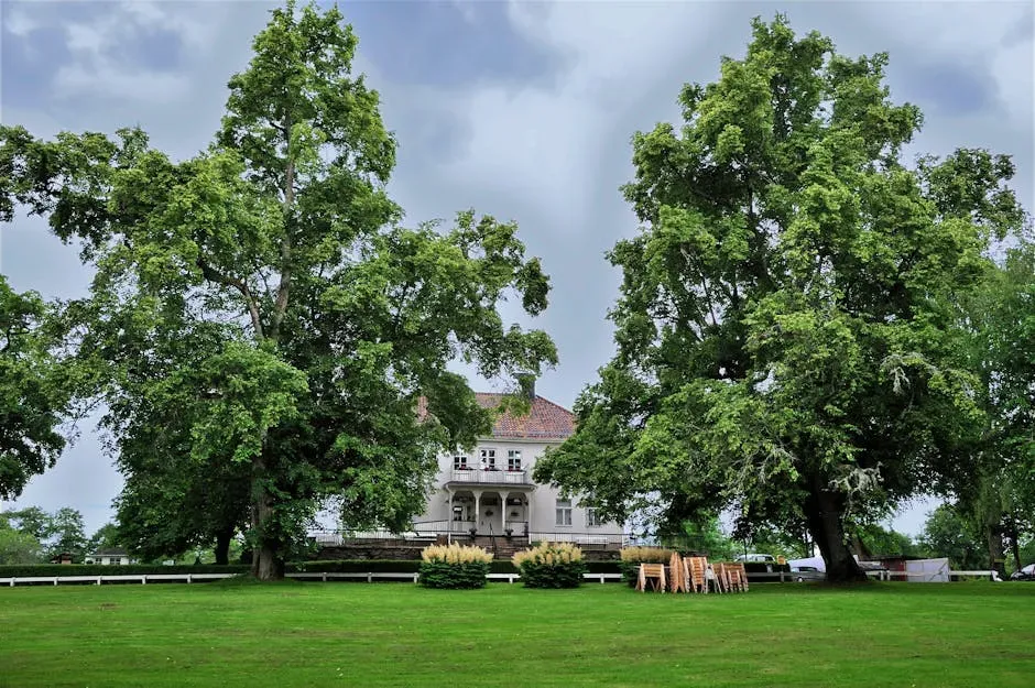 The Estate Before Jackson: A Gentleman's Ranch (Image Credits: Pexels)