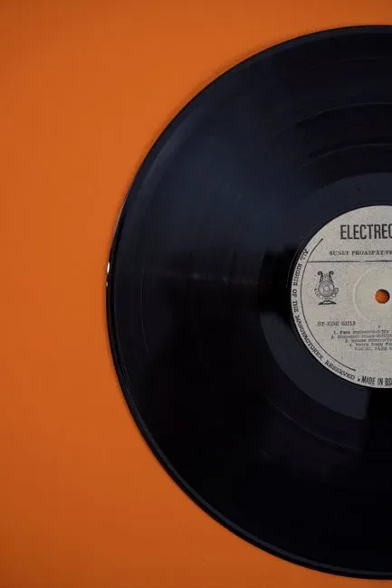 Guns N' Roses, Chinese Democracy (Image Credits: Pexels)