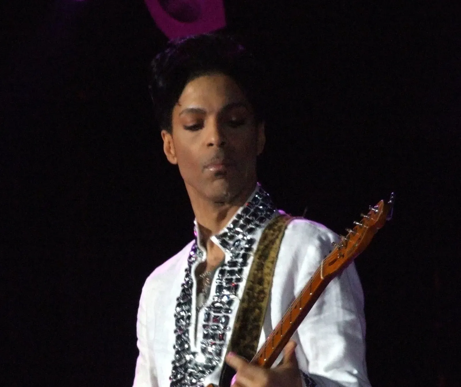 5. Prince (Image Credits: Wikimedia)