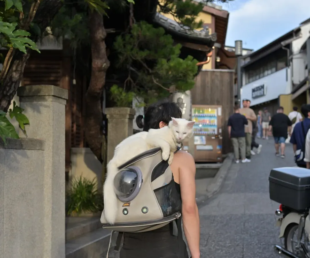 3. The Travelling Cat Chronicles by Hiro Arikawa (Image Credits: Unsplash)