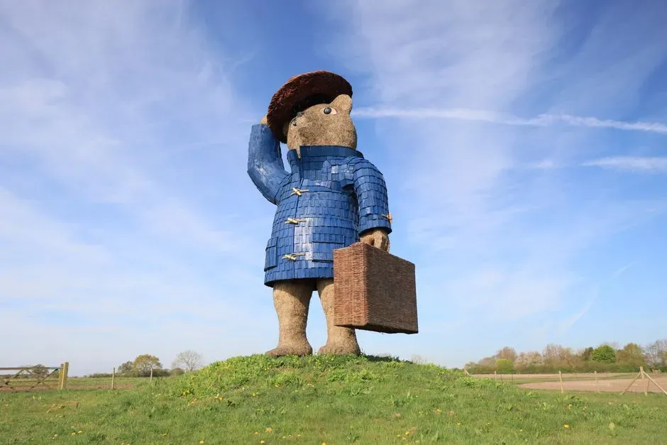 Paddington 2 (2017) (Image Credits: Pexels)