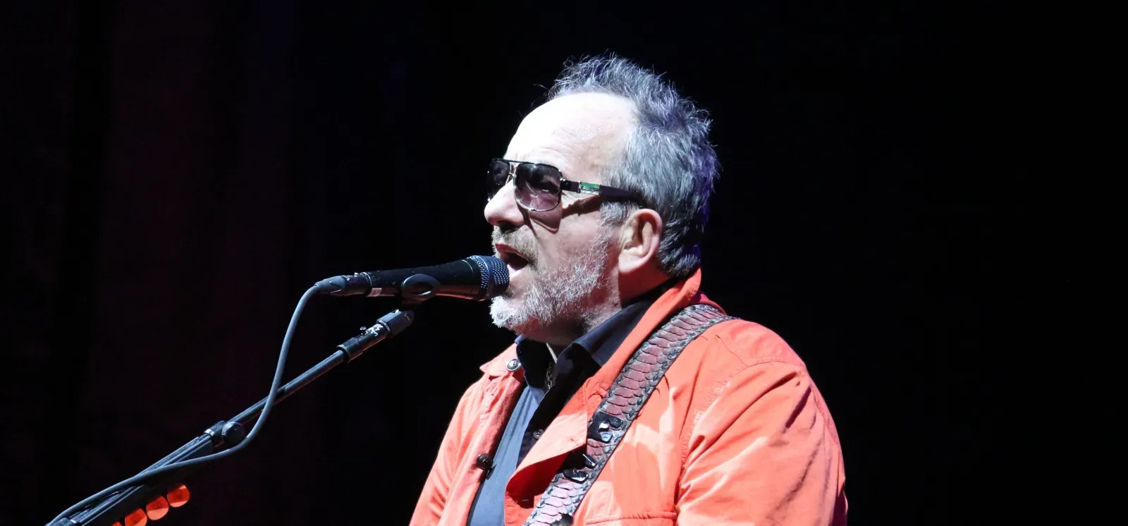 4. Elvis Costello and the supermarket clerk, "Alison" (Image Credits: Wikimedia)