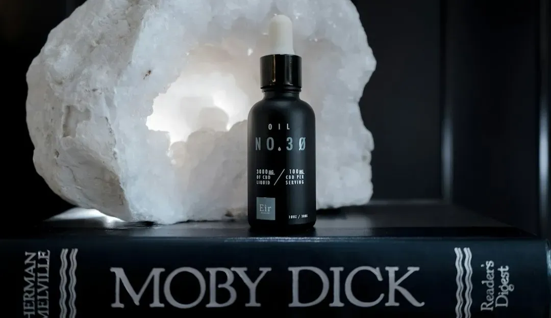 Moby-Dick by Herman Melville (Image Credits: Unsplash)