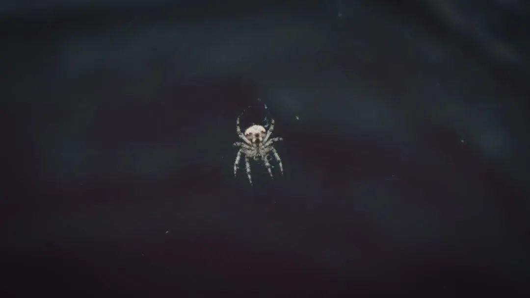 Children of Time by Adrian Tchaikovsky (Image Credits: Unsplash)