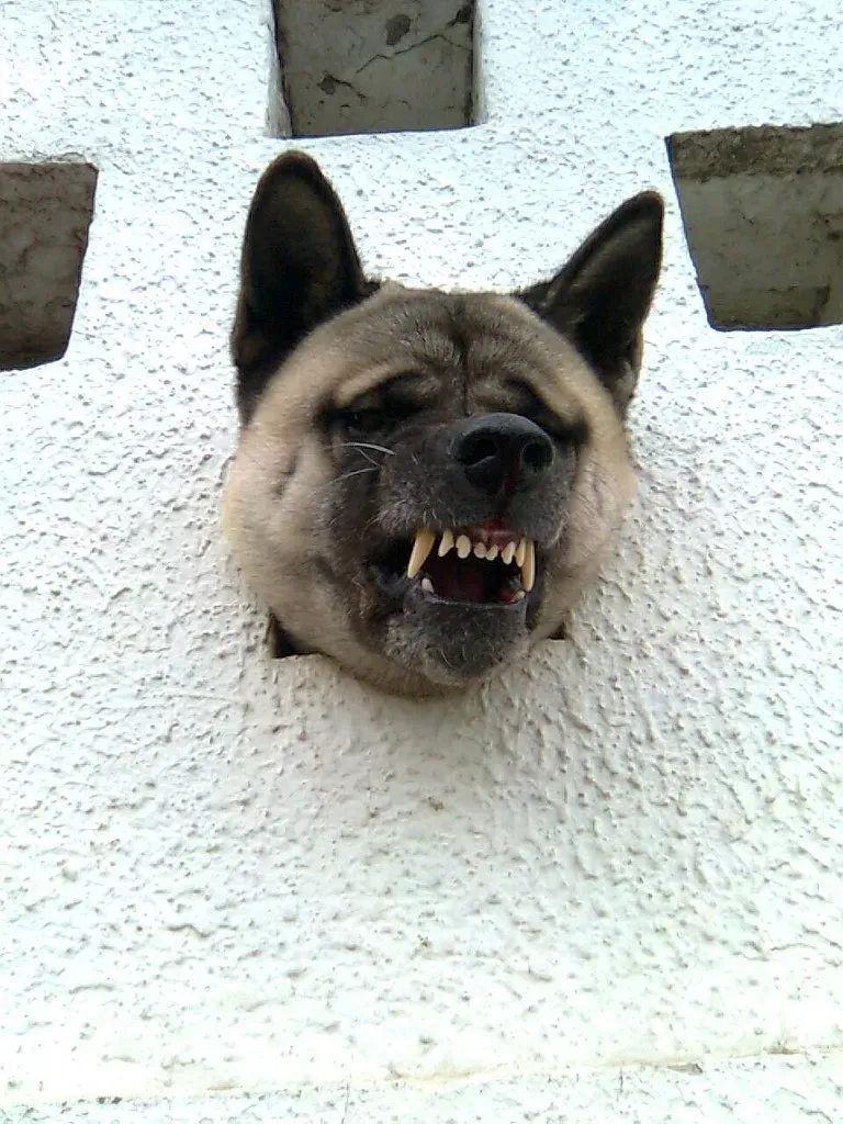 Lip Licking Is More Than Hunger ([[[Matías]]], Flickr, CC BY 2.0)