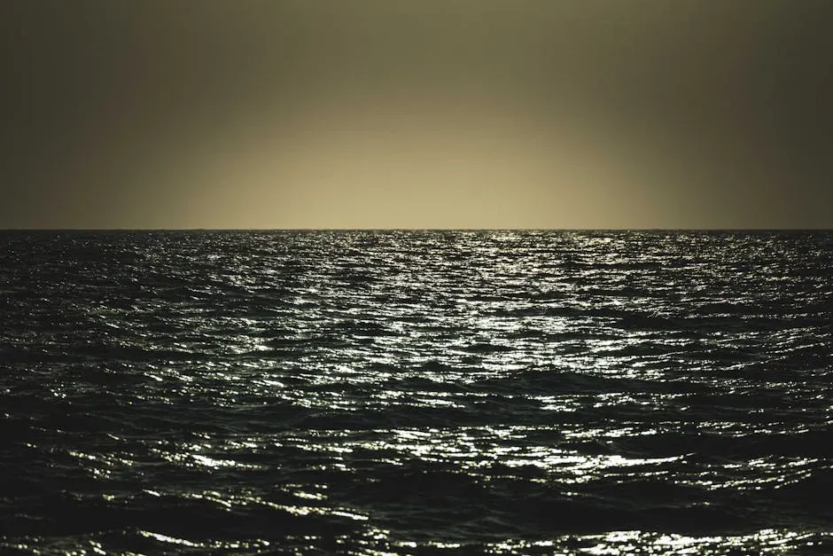 Wide Sargasso Sea by Jean Rhys (1957–1966) (Image Credits: Pexels)