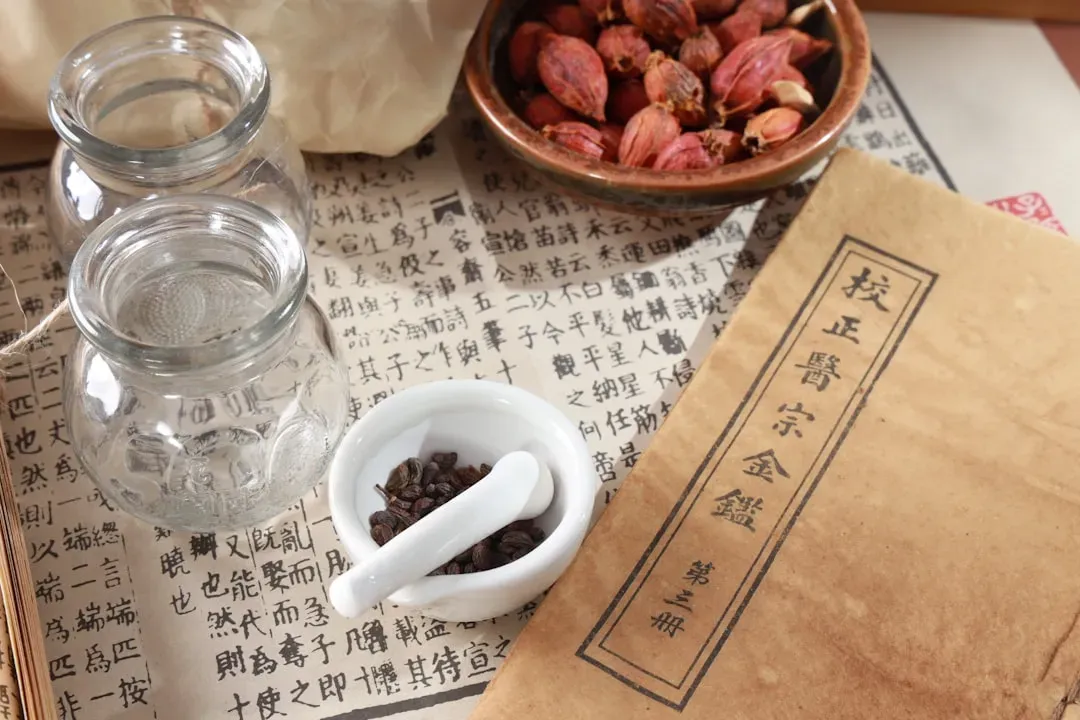 Healthcare Debates in Ancient China (Image Credits: Unsplash)