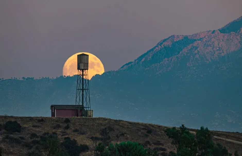 8. Creedence Clearwater Revival - "Bad Moon Rising" (1969): Bad Moon, Not Bathroom (Image Credits: Pexels)