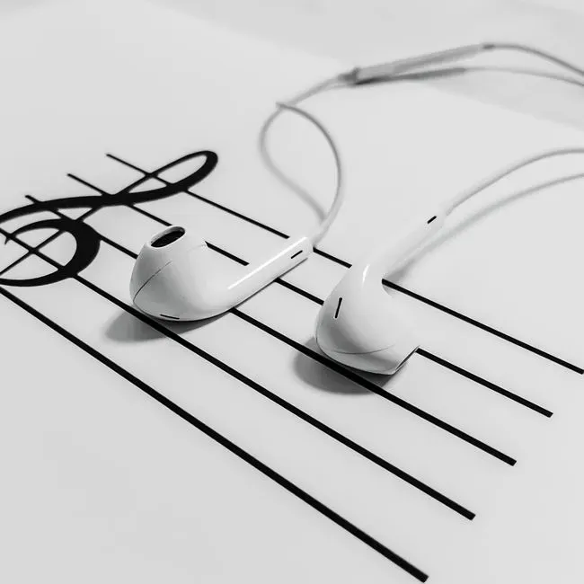 Elvis Presley's name appeared on songs he never touched (Image Credits: Pexels)
