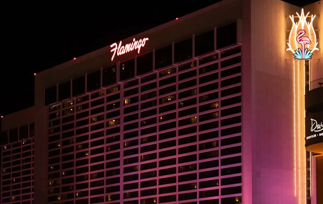 The Desert Dream That Became a Death Sentence (Image Credits: Unsplash)