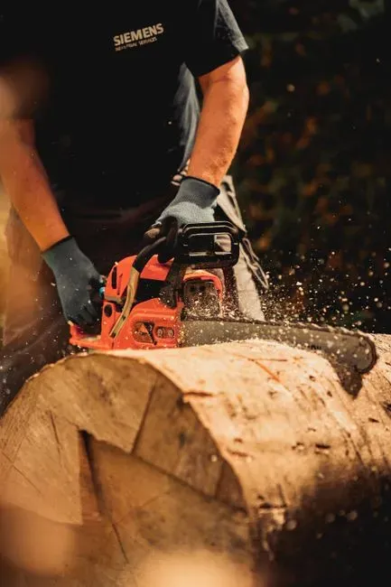 5. Dexter - Dexter Becomes a Lumberjack in Oregon (Season 8 Finale) (Image Credits: Pexels)