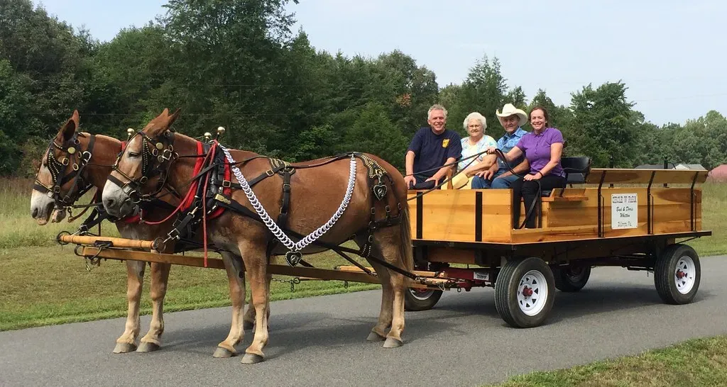 Hayrides (vastateparksstaff, Flickr, CC BY 2.0)