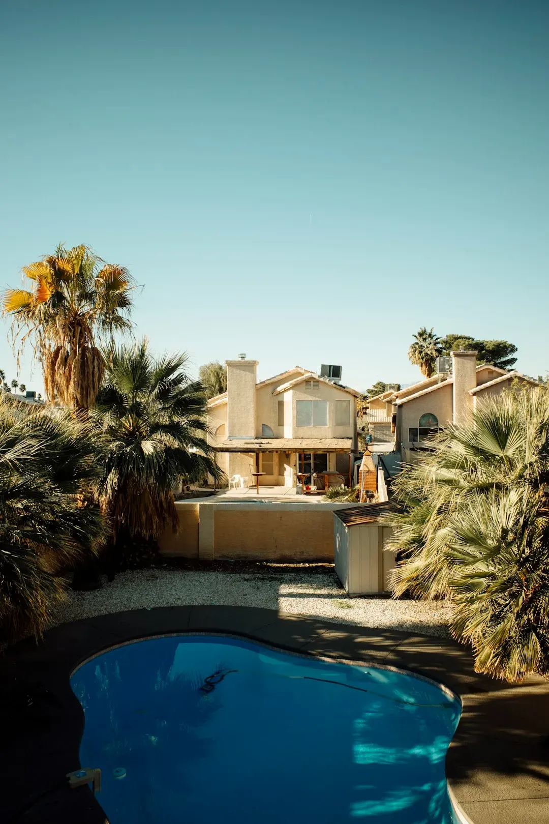 The Bigger Picture (Image Credits: Unsplash)