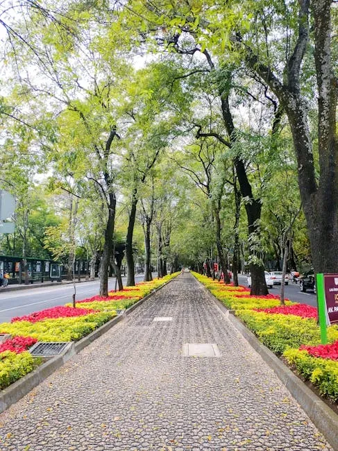 Las Vegas: Shaded Corridors in the World's Hottest Playground (Image Credits: Pexels)