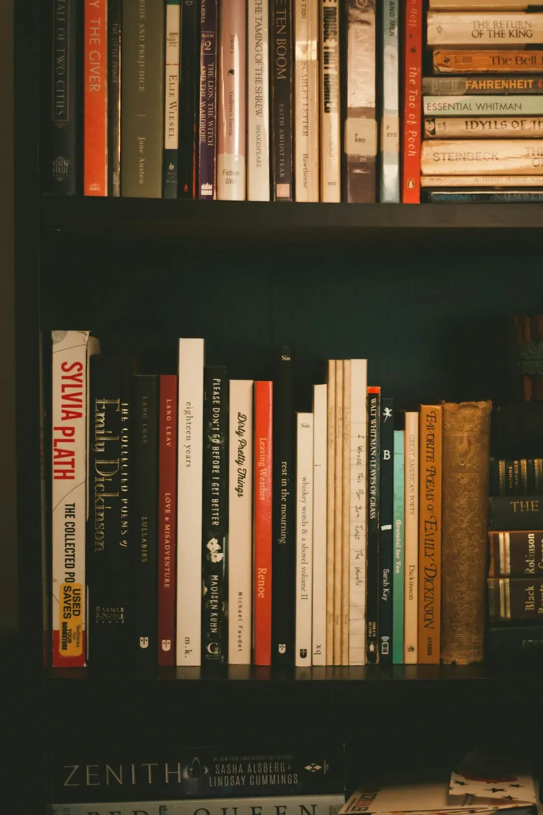 6. Short Story Collections (Image Credits: Unsplash)