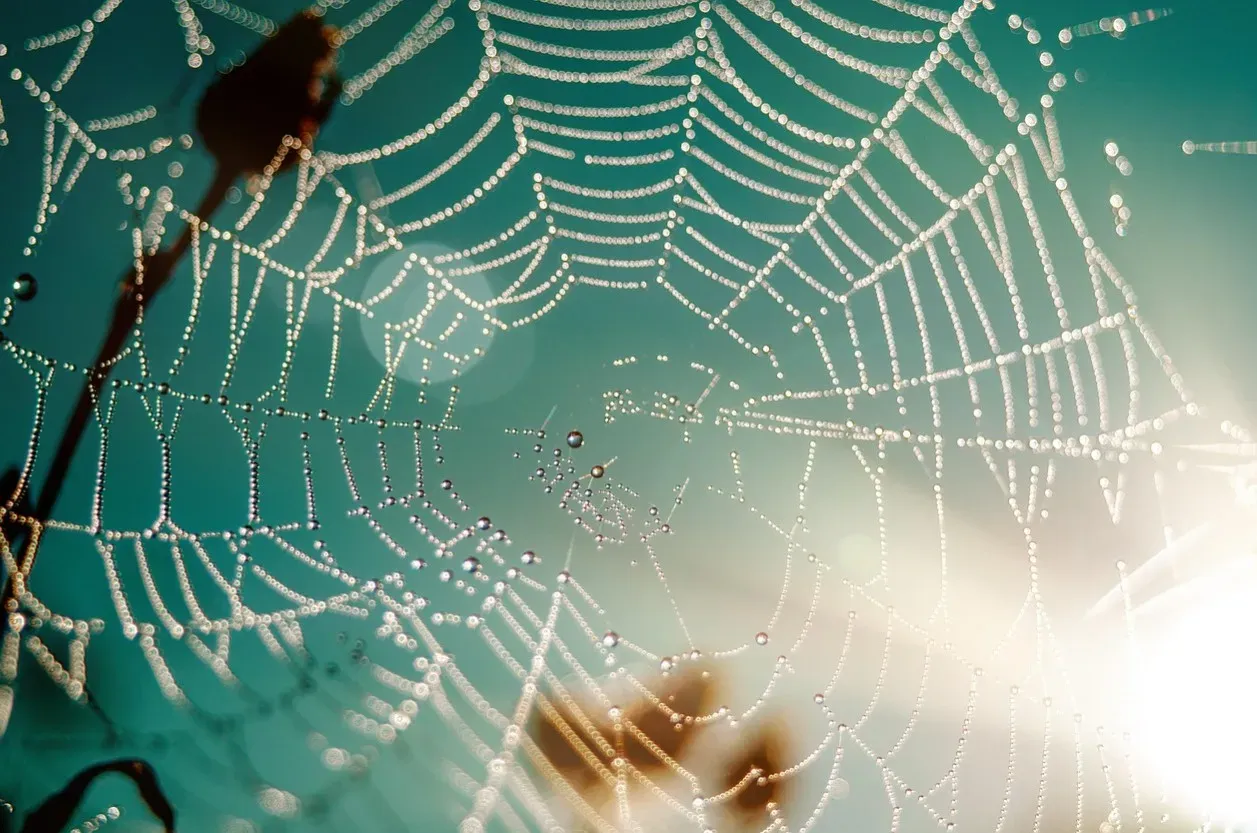 Charlotte's Web by E. B. White (Image Credits: Pixabay)