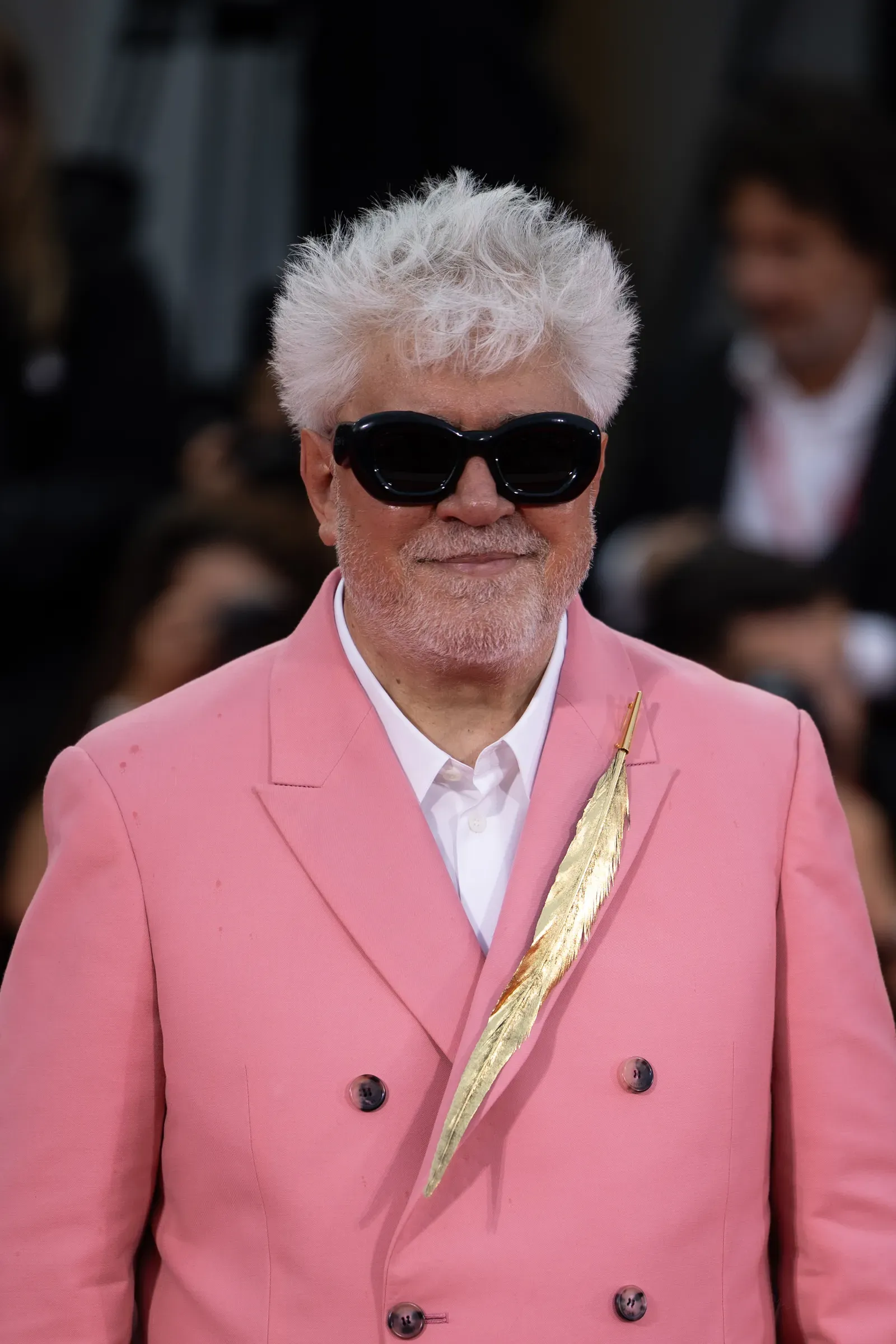 Pedro Almodóvar (By Harald Krichel, CC BY-SA 4.0)