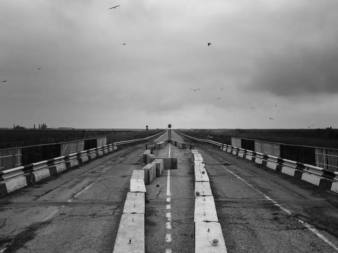 2. The Road by Cormac McCarthy (2006) (Image Credits: Unsplash)