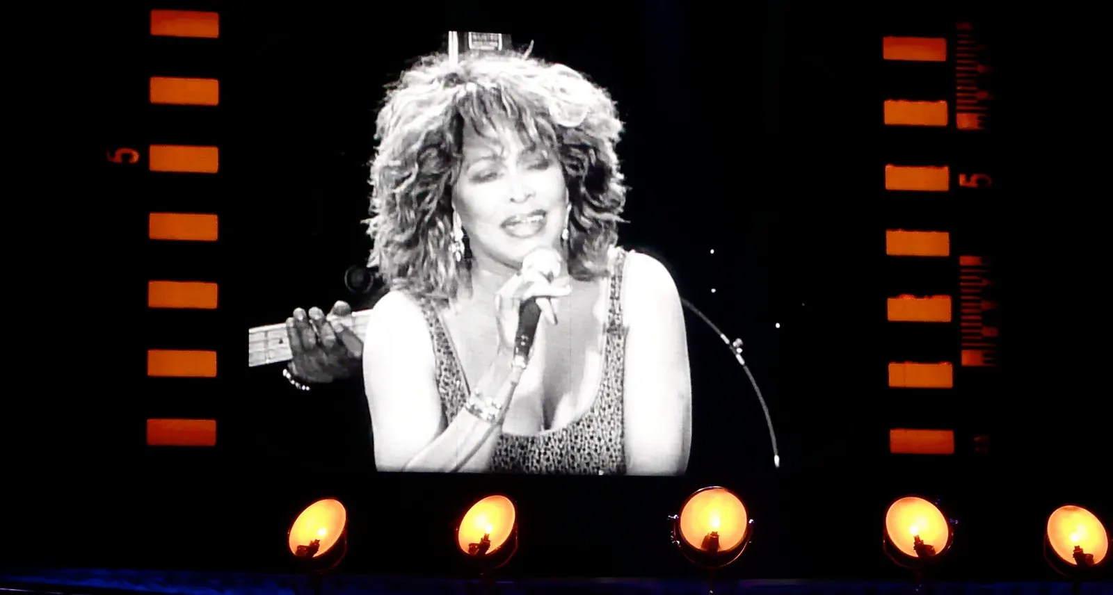 6. Tina Turner (Image Credits: Wikimedia)